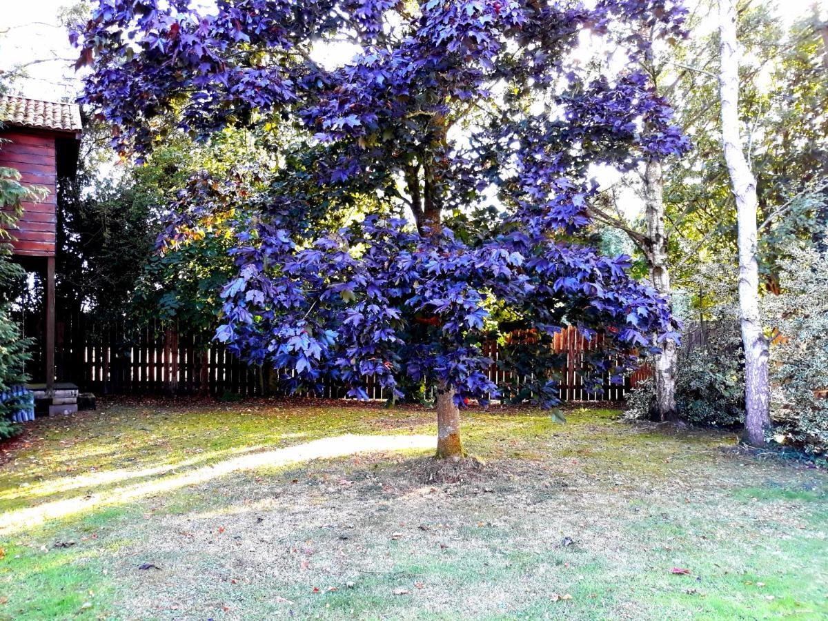 Country Home Tara Rathfeigh Dış mekan fotoğraf